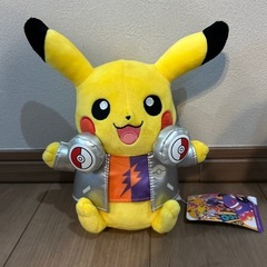 手渡しのみ　ポケモンぬいぐるみセットの画像