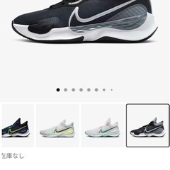   28.5cm　購入時の箱付き　ほぼ未使用　ナイキリニューエレベート3の画像