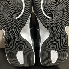   28.5cm　購入時の箱付き　ほぼ未使用　ナイキリニューエレベート3の画像