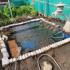 水草