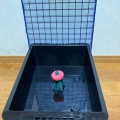 メダカ容器買います古いかまいません今メダカの容器を探してま…