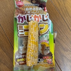 【取引中】ハムスター用品の画像