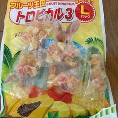 【取引中】ハムスター用品の画像