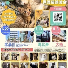 6/22(日)みなとねこ保護猫譲渡会＠品川