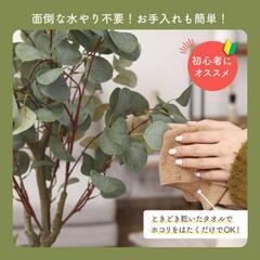 フェイクグリーン ユーカリ 高さ150cmの画像