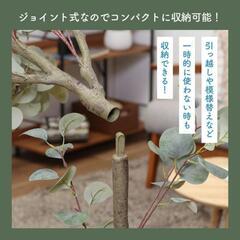 フェイクグリーン ユーカリ 高さ150cmの画像