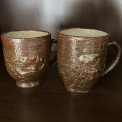 夫婦カップ