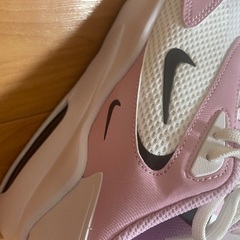 大きいサイズNIKEスニーカーレディースの画像