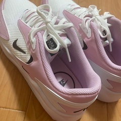 大きいサイズNIKEスニーカーレディース