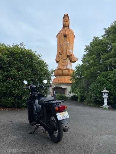 バイク 50CC スズキ原付50CC