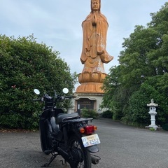 バイク 50CC スズキ原付50CC