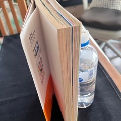 チャートで稼ぐ株入門と女子高生株塾の2冊の画像