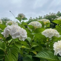 山歩きしましょう✨