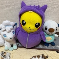 ポケモン　ぬいぐるみ