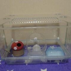 飼育セット①の画像