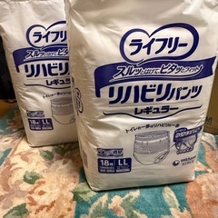 介護用品大人のおむつL Lサイズ