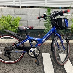 美品　ブリジストン　エクスプレスジュニア　22インチ