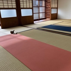 加西市のヨガ教室（少人数制）