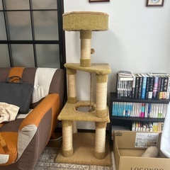 キャットタワー