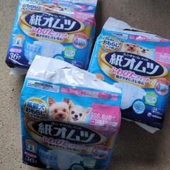 犬用オムツ　超小型犬