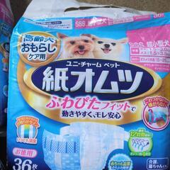 犬用オムツ　超小型犬　セット価格の画像