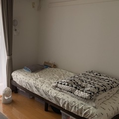 ニトリ　シングルベットの画像