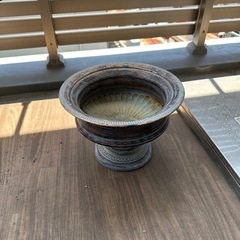 鉢植え