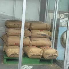 米ぬかを袋詰めする、集める作業