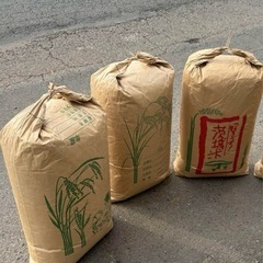 米ぬかを袋詰めする、集める作業の画像