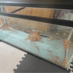 1,200水槽ライト付き【早い者勝ち】