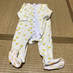 80サイズ