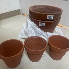 植木鉢差し上げます