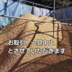 ①もみがら (引取限定) 45L ゴミ袋 1袋/100円