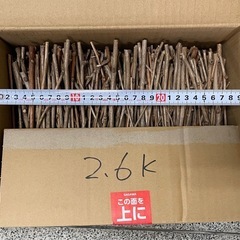 火起こし用極細枝2.6kg 群馬東京　BBQキャンプ焚き火