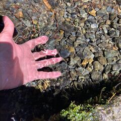 （日付変更）わくわくエナジーワークVol.001 『感じる力をひらく旅 〜名水の地を巡るミステリーツアー』 - 国分寺市