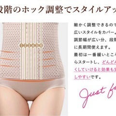 ウェストニッパー 年中使用 美くびれ 引き締め ダイエット ベージュ 2枚の画像