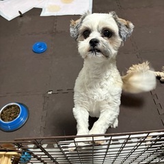 急募です