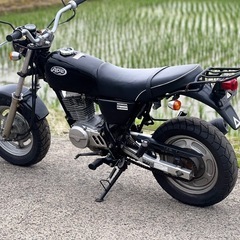 エイプ100 キャブ車 ノーマル  埼玉県熊谷市からの画像