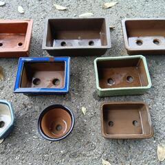 盆栽小品鉢豆鉢各種8点の画像