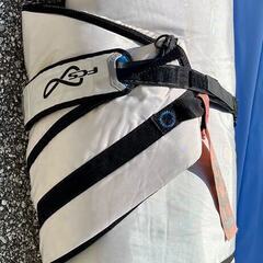 Bark Candace Appleby race boardの画像