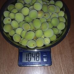 小梅(無農薬)1kg 