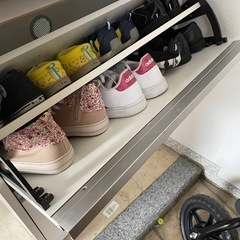 (※取引先決定済)シューズケースの画像
