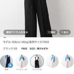 レプシム　ワイドパンツの画像