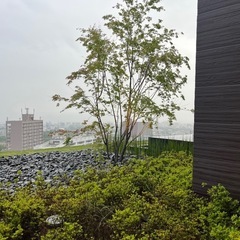 草刈りや掃除ができる方を募集しています。