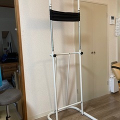 ぶら下がり健康機