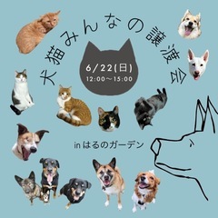 第10回犬猫みんなの譲渡会