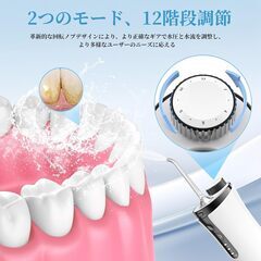 口腔洗浄器　カメラ付の画像