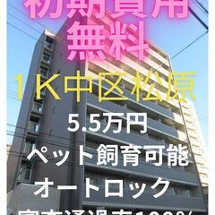 ⭐初期費用無料⭐ ペット飼育可能で審査通過率100％です。保証会...