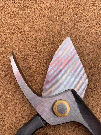 俊之作弘前剪定鋏未使用長期保管品 (tmsm) 浪岡のその他の中古