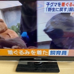 24インチハイセンス　液晶テレビ